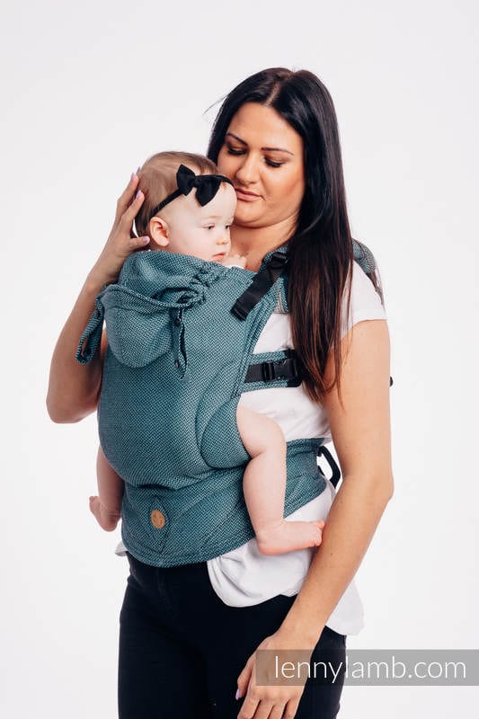 Toddleland 2024 baby carrier