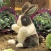 Folkmanis Puppet Baby Dutch Rabbit