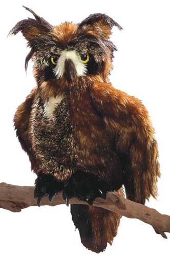 Folkmanis Puppets Great Horned Owl