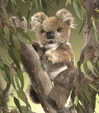 Folkmanis Puppets Koala
