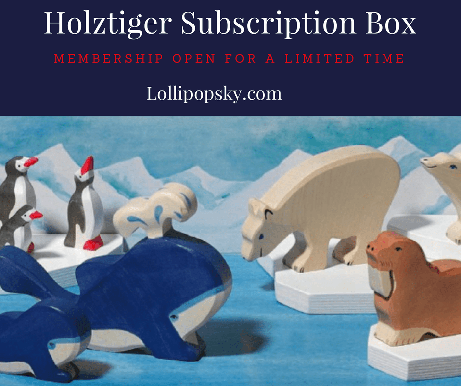 Holztiger Subscription Box