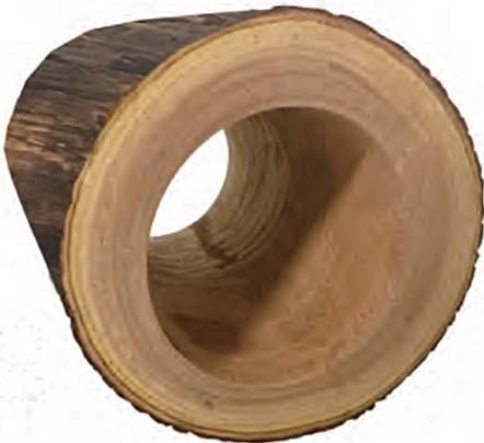 Papoose Wood Hollow Log