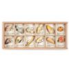 Grapat Wood Wild Set 12 Pieces with Tray