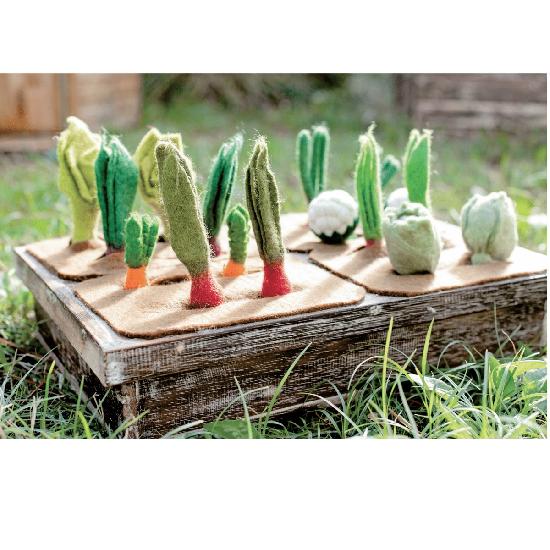 Papoose Toys Grow a Garden with Veggies 16 Piece Set